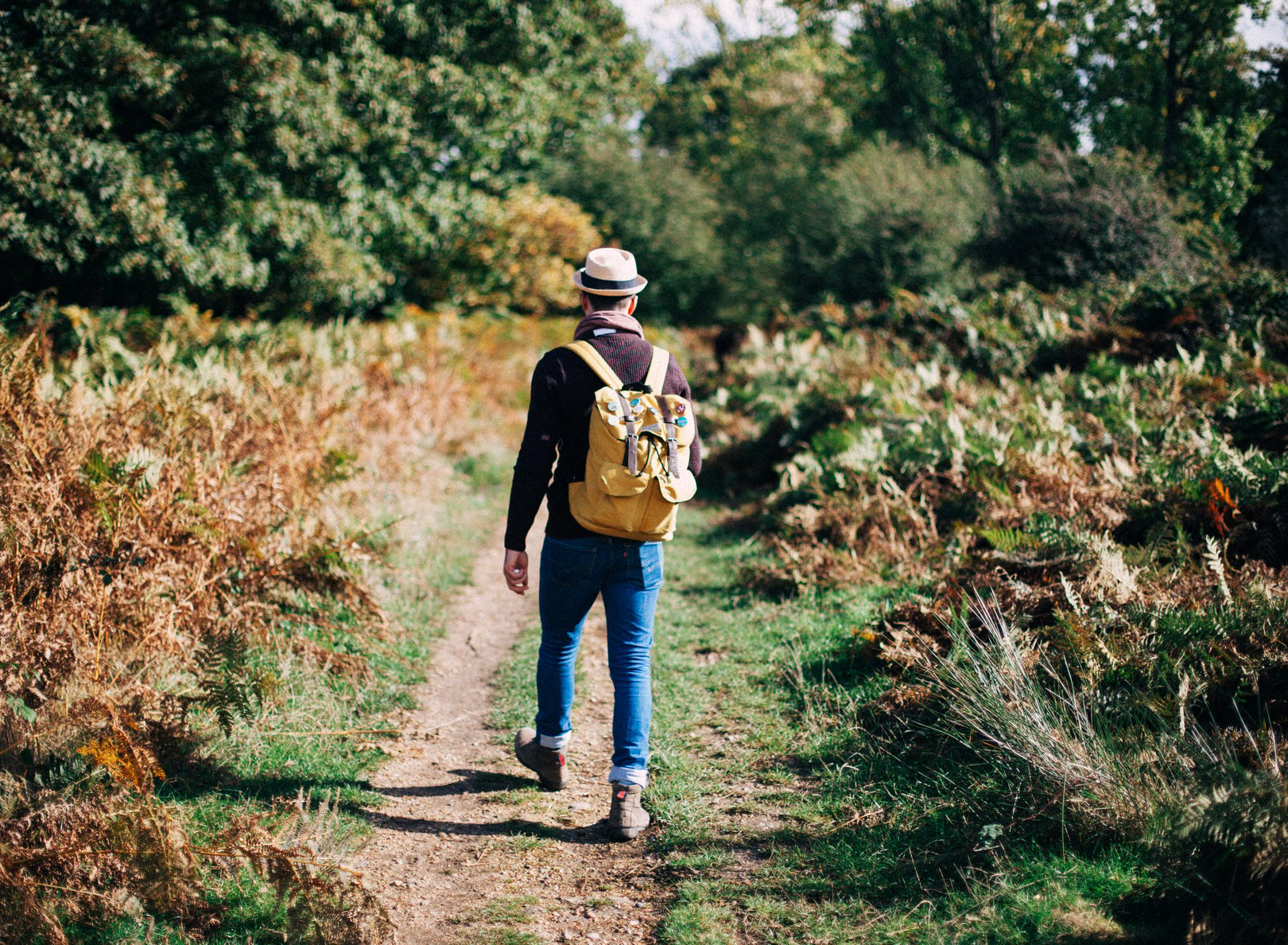 Man Walking on Road Surrounded by Trees